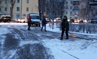 Общественный мониторинг расчистки пешеходных зон после ночного снегопада