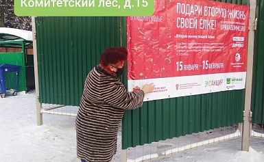 С сегодняшнего дня- с 15 января в Подмосковье началась экологическая акция "Подари своей ёлке вторую жизнь", которая будет длиться до 15 февраля. 